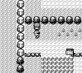Ten Iconic Pokémon from Generation One That Shaped a Franchise